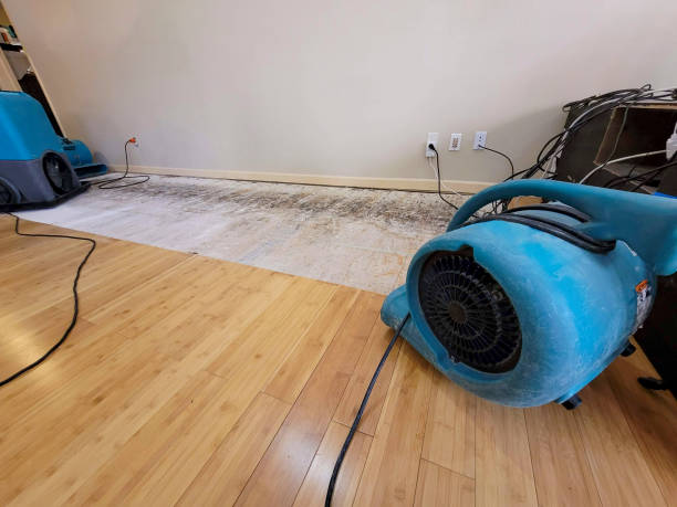 Reliable Basement Flood Cleanup contractor in Genesee, ID by Hirex Water Damage