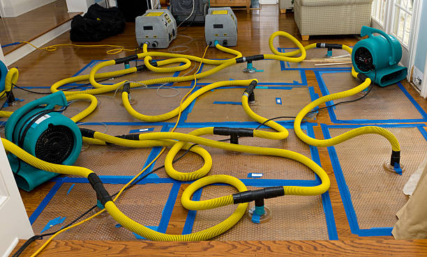 Professional Basement Flood Cleanup technician working in Genesee, ID